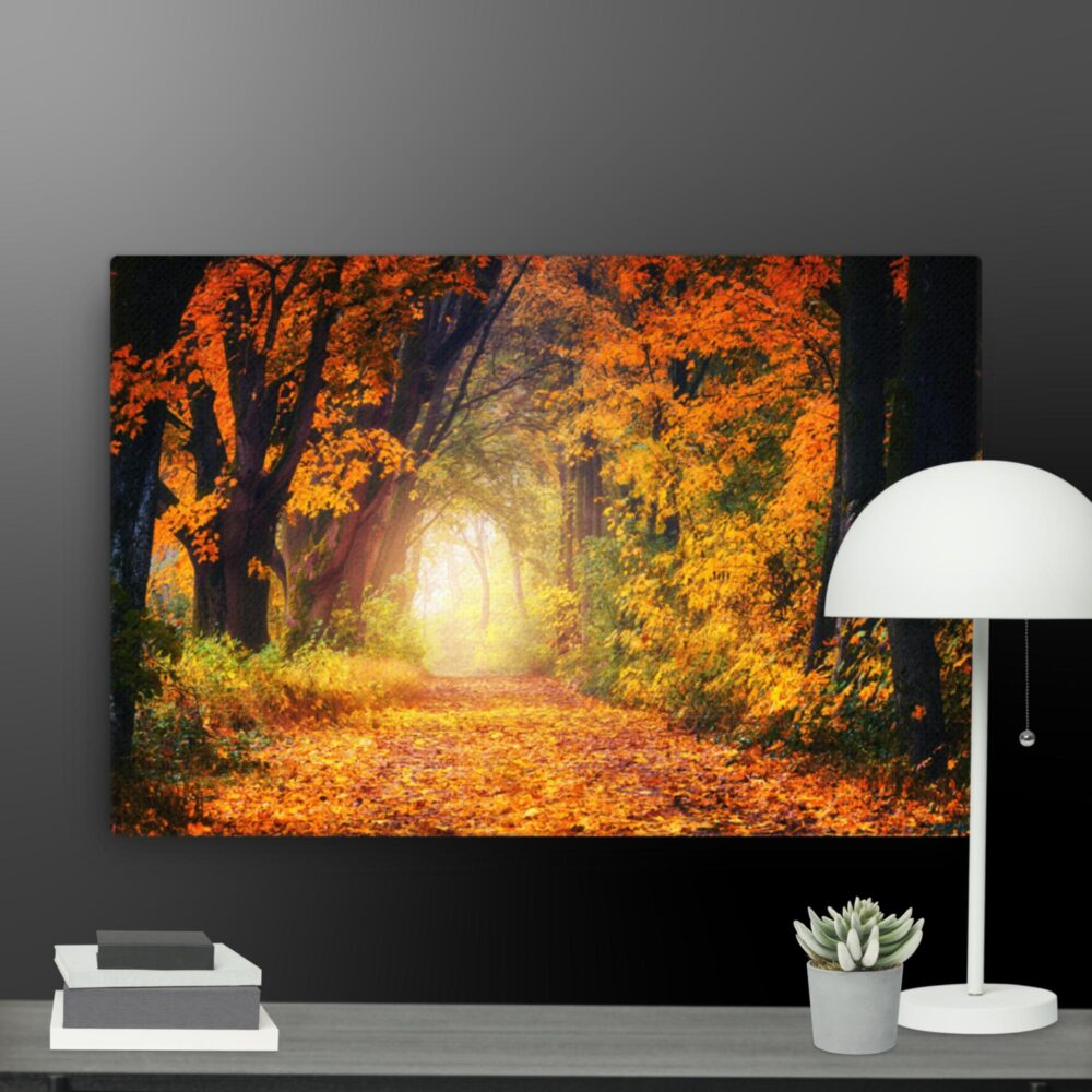 Autumn canvas - Image 13