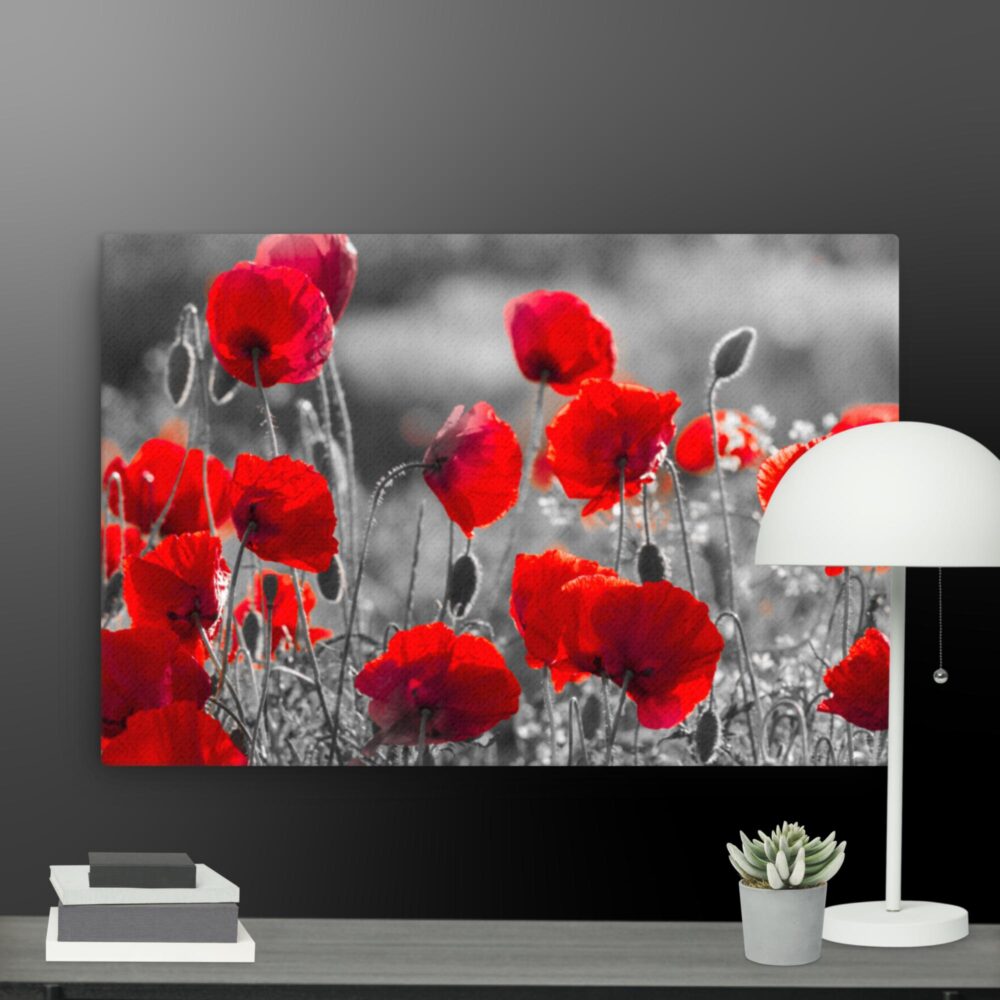 Poppy scene canvas - Image 13