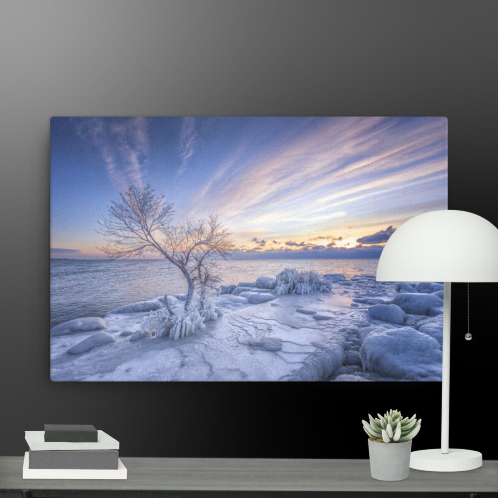 A snowy morning canvas - Image 13