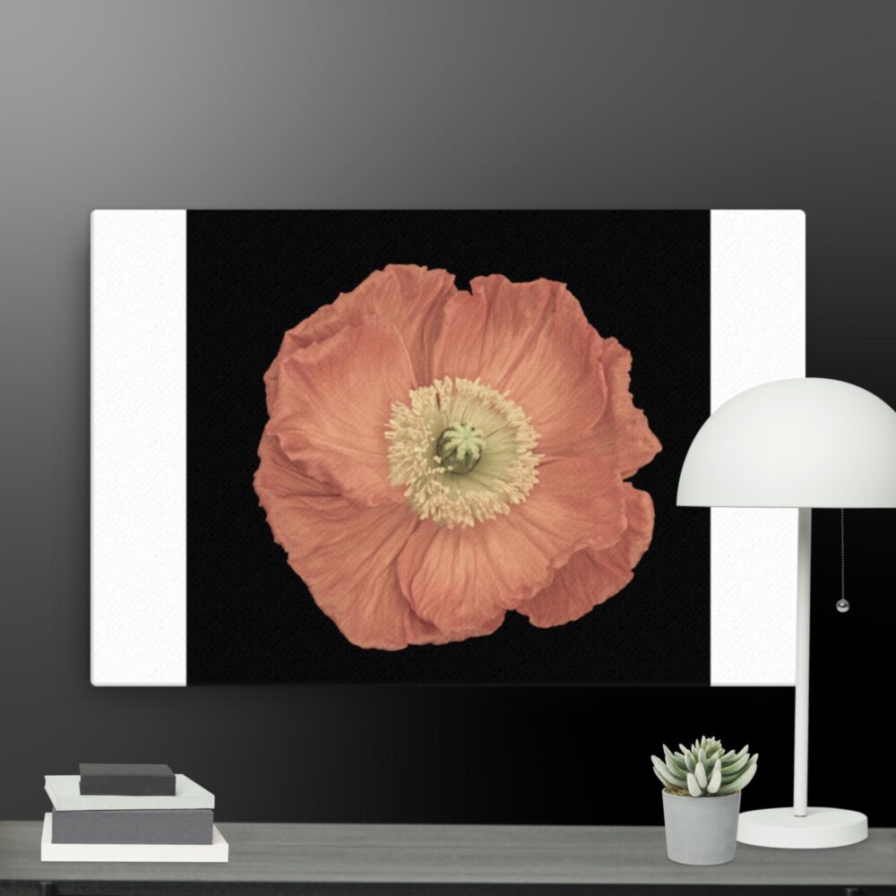 Pink flower canvas - Image 13