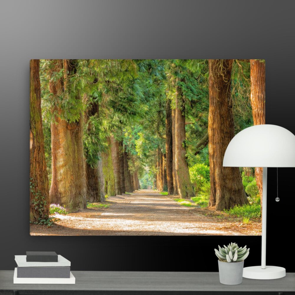 A walk through the woods canvas - Image 12
