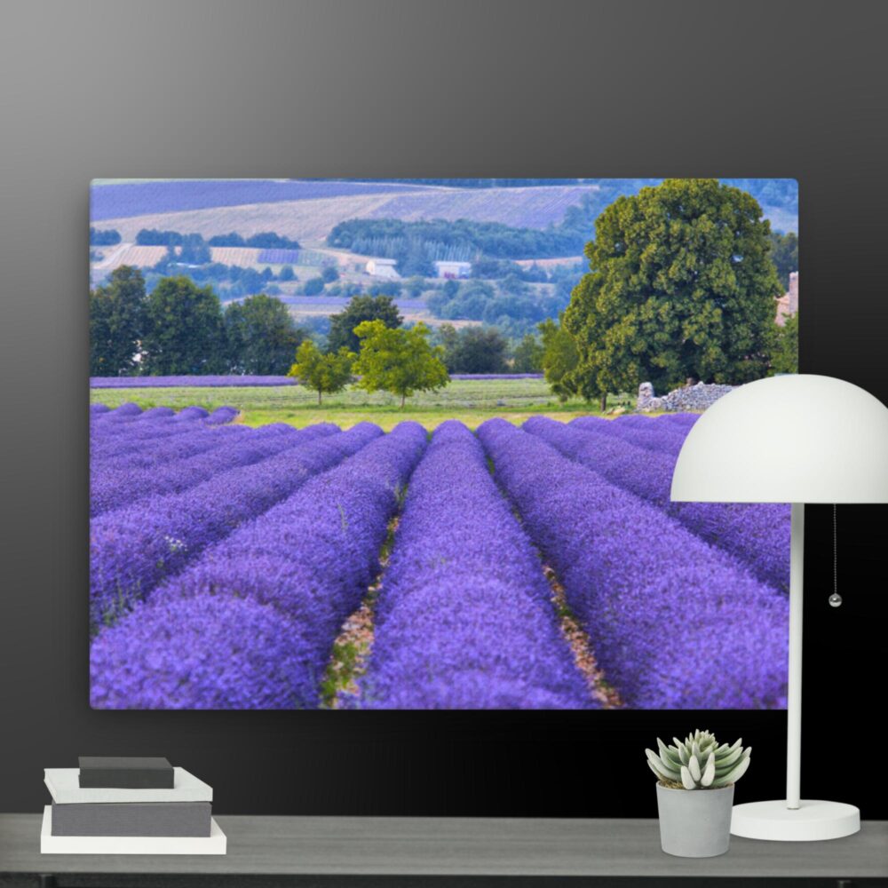 Lavender canvas - Image 12