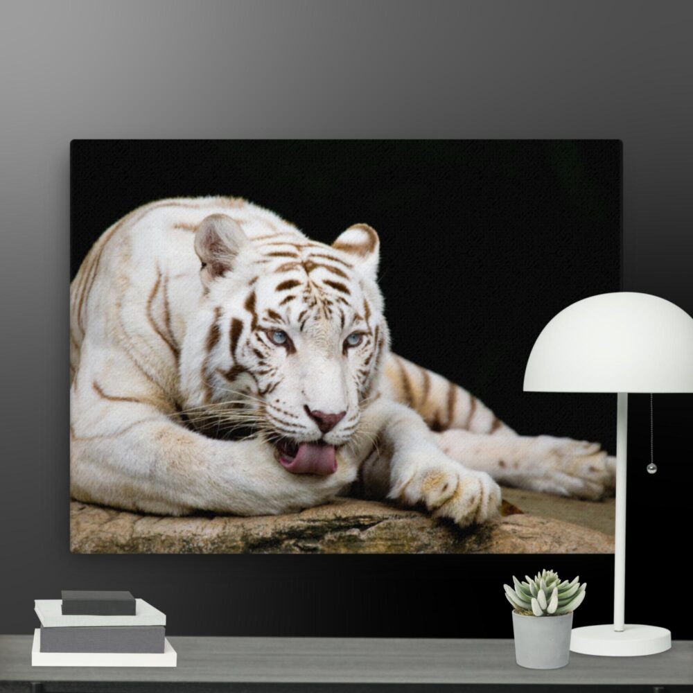 White Tiger canvas - Image 12
