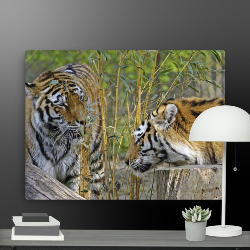 Tiger Friends canvas - Image 12