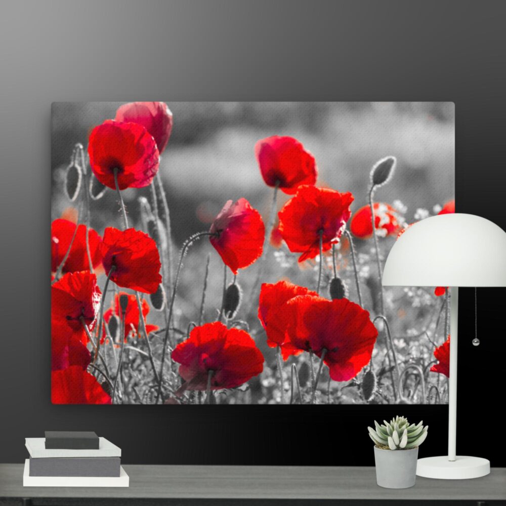 Poppy scene canvas - Image 12