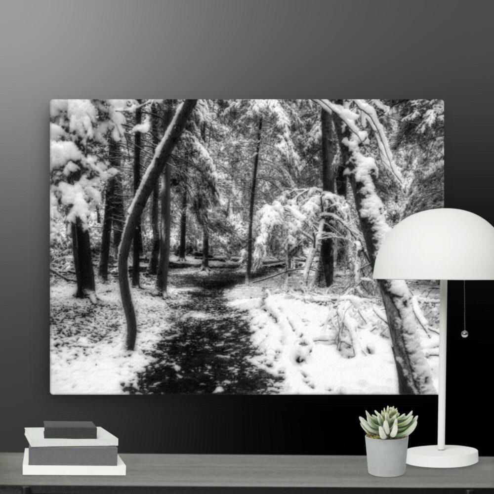Snowy forest canvas - Image 12