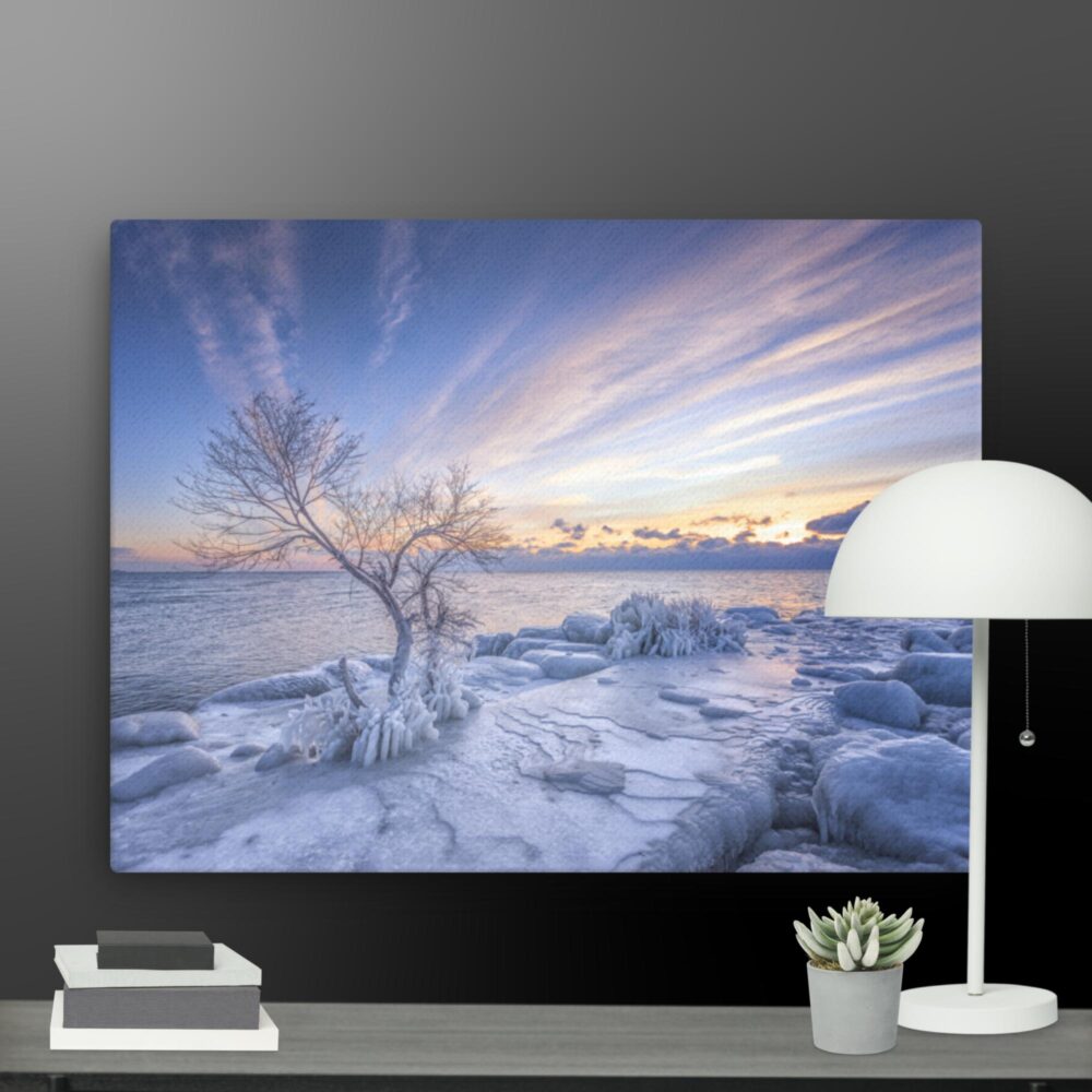 A snowy morning canvas - Image 12