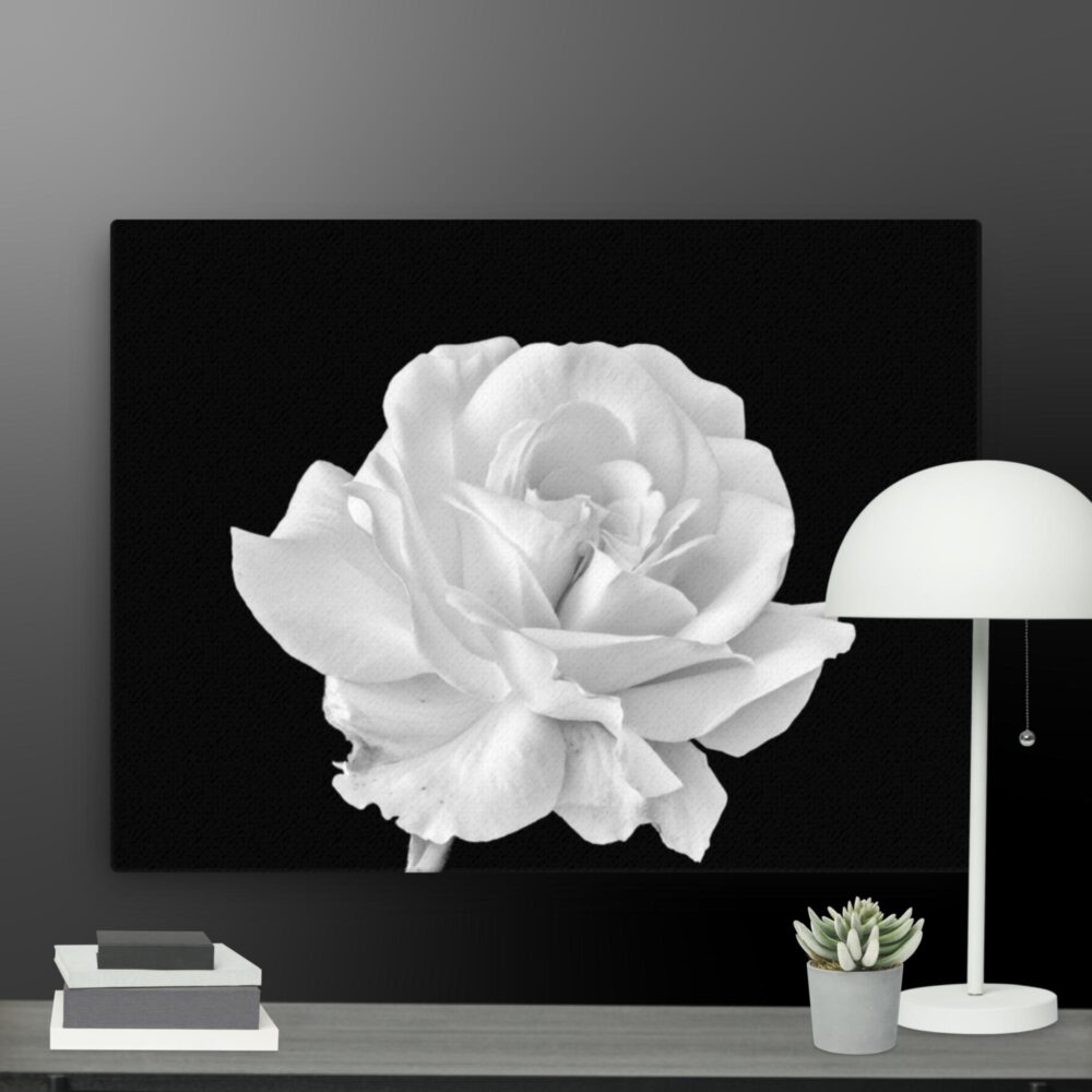 White rose canvas - Image 12