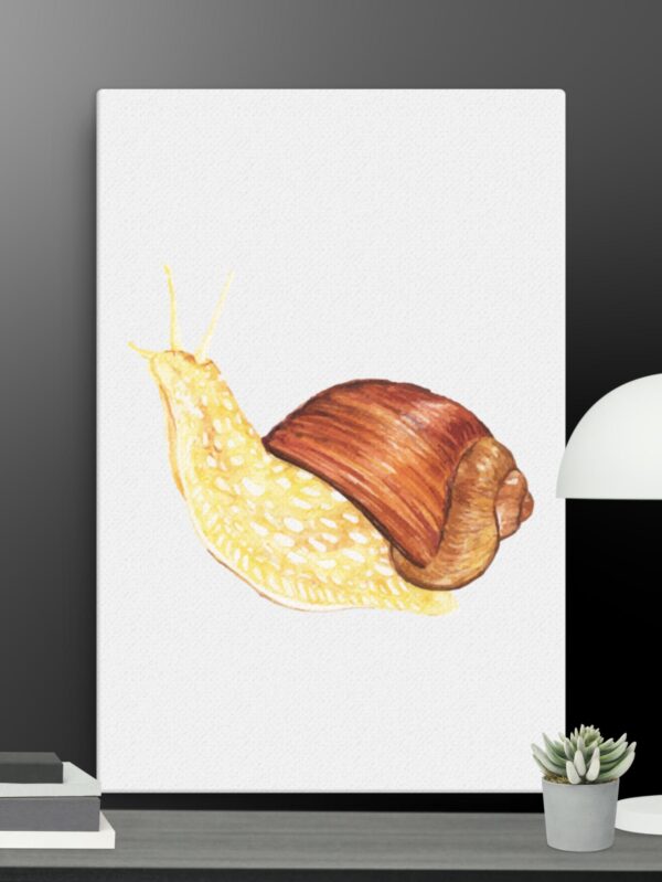 Snail canvas - 24×36