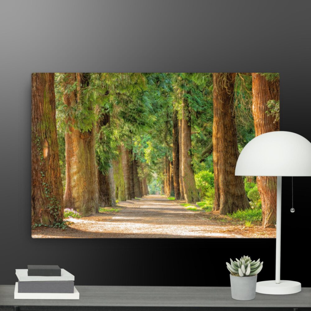 A walk through the woods canvas - Image 6