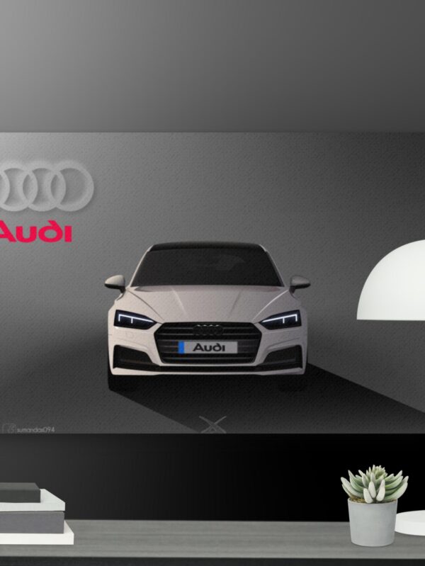 White audi canvas - 24×36