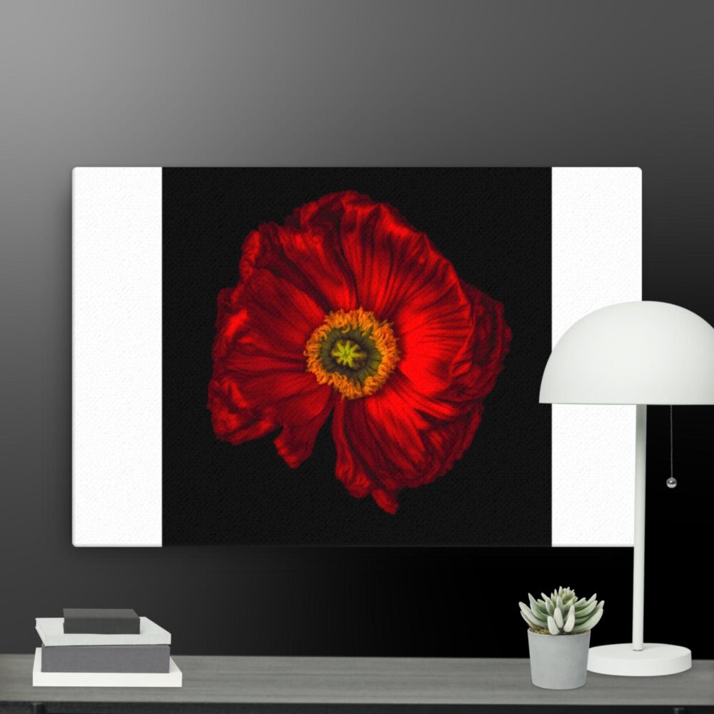 Red flower canvas - Image 6