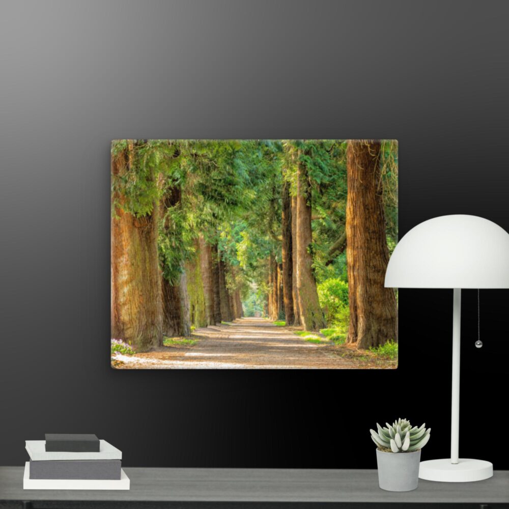 A walk through the woods canvas - Image 7