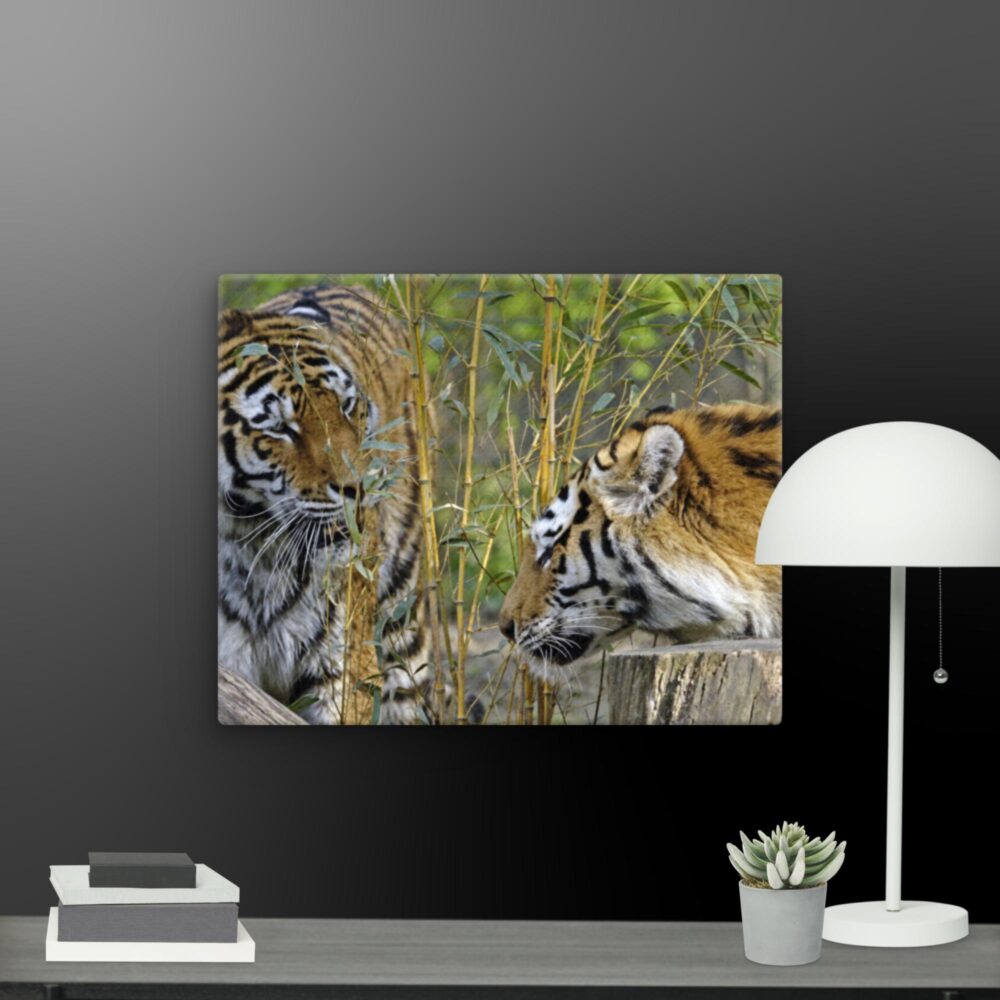 Tiger Friends canvas - Image 7