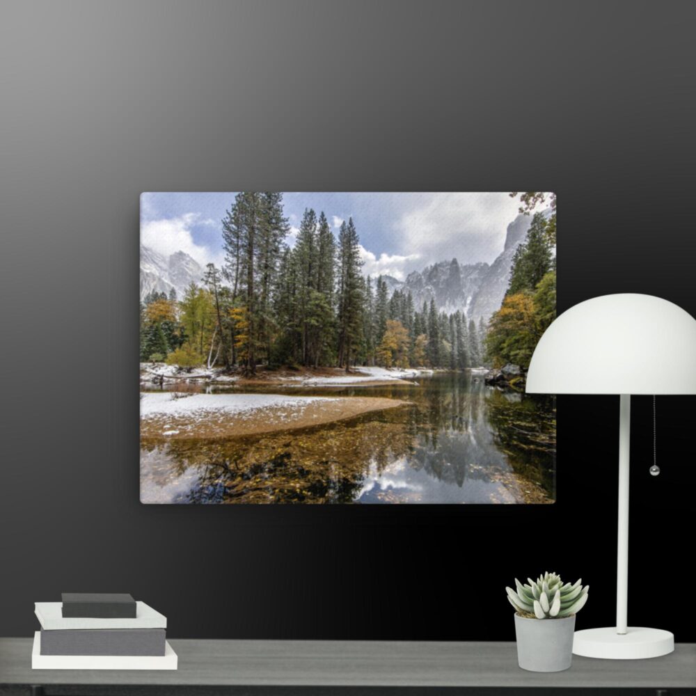 The forrest canvas - Image 8